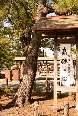 阿蘇神社(熊本県)
