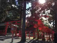 吉田神社の庭園