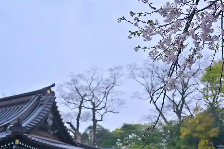 三嶋大社(静岡県)