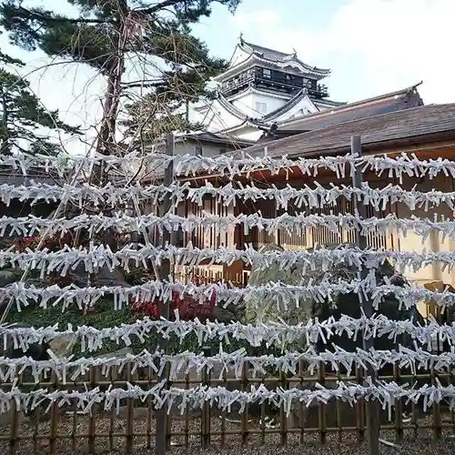 龍城神社のおみくじ