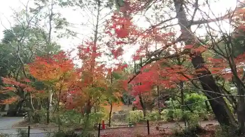 大窪寺の庭園