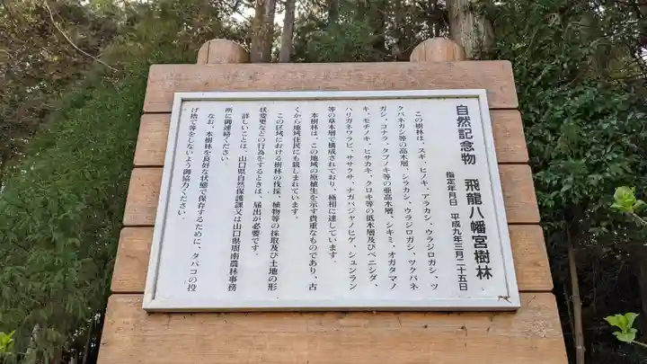 飛龍八幡宮(山口県)