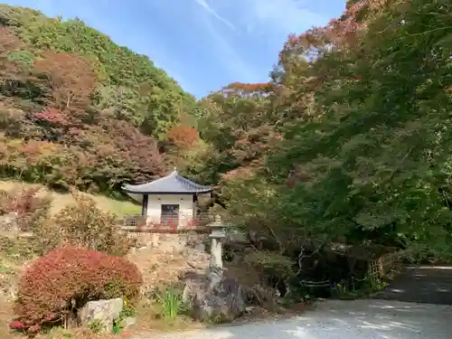 普門寺(切り絵御朱印発祥の寺)の自然