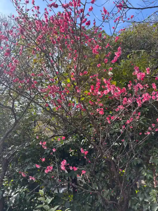 芝東照宮(東京都)
