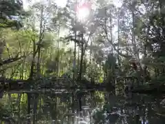 南禅寺の庭園