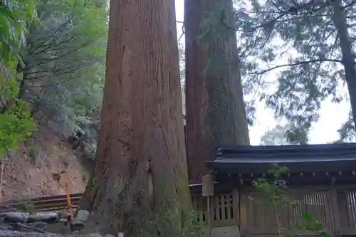 丹生川上神社（中社）の自然
