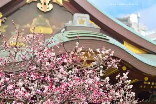湯島天満宮(東京都)