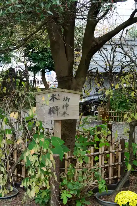 牛天神北野神社の自然