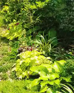 寿量山 速成寺(奈良県)(2021年06月25日(金) 12時56分06秒投稿)