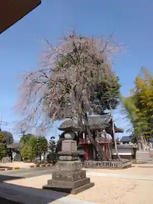 相頓寺(埼玉県)