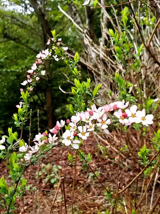 石都々古和気神社の自然