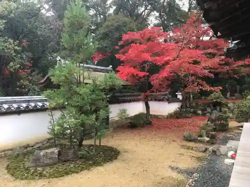 圓教寺の庭園