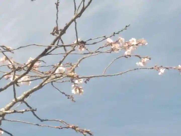 龍福寺(福島県)