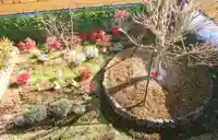 寿量山 速成寺の庭園