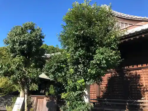 三笠神社の建物その他