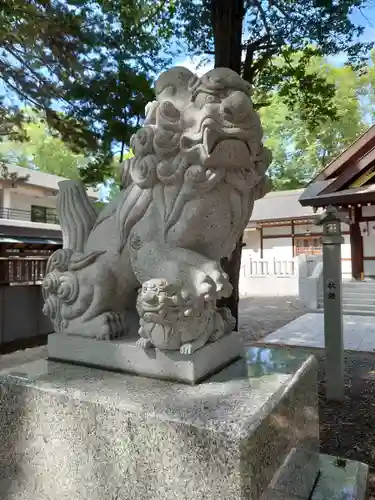 新琴似神社の狛犬