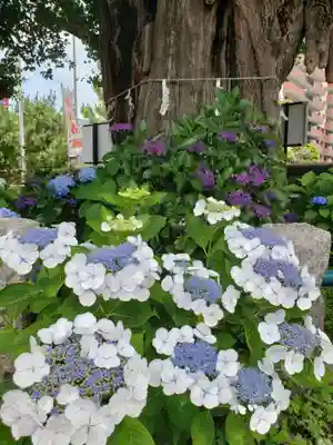 磐井神社(東京都)