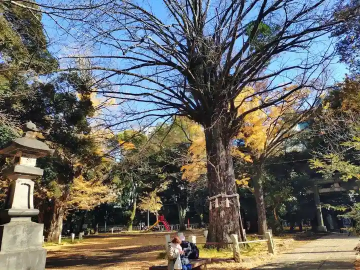 赤坂氷川神社(東京都)