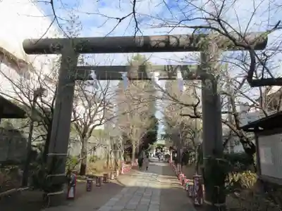 亀戸 香取神社の鳥居