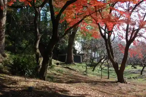 谷保天満宮の庭園