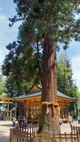 穂高神社本宮(長野県)