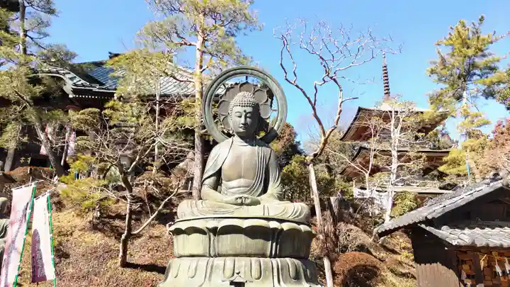 岩殿山安楽寺(吉見観音)(埼玉県)