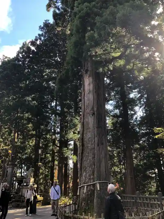 戸隠神社中社(長野県)