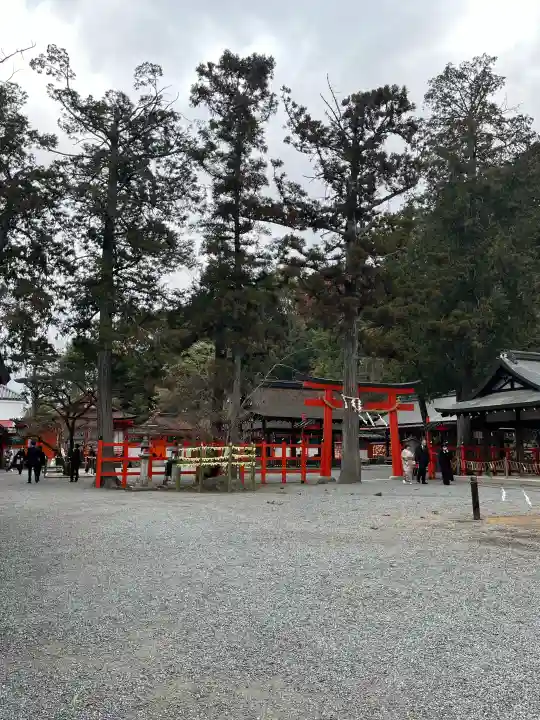 吉田神社の{uncategorized: "未分類", other: "その他", undefined: "問題あり", building: "その他建物", grave: "お墓", sacred_gate: "鳥居", guardian: "狛犬", statue: "像", buddha: "仏像", history: "歴史", nature: "自然", garden: "庭園", animal: "動物", pagoda: "塔", temizu: "手水舎", mountain_gate: "山門・神門", sanctuary: "本殿・本堂", subordinate: "末社・摂社", art: "芸術", scenery: "景色", jizo: "地蔵", ema: "絵馬", goshuin: "御朱印", omikuji: "おみくじ", items: "授与品その他", amulet: "お守り", goshuincho: "御朱印帳", eats: "食事", festival: "お祭り", votive_dance: "神楽", shichigosan: "七五三参", wedding: "結婚式", experience: "体験その他", initially: "初詣", around: "周辺", anti_infection: "感染症対策"}