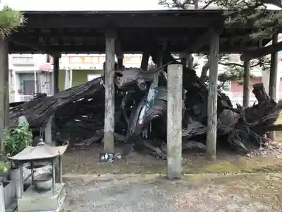 延命寺(愛媛県)