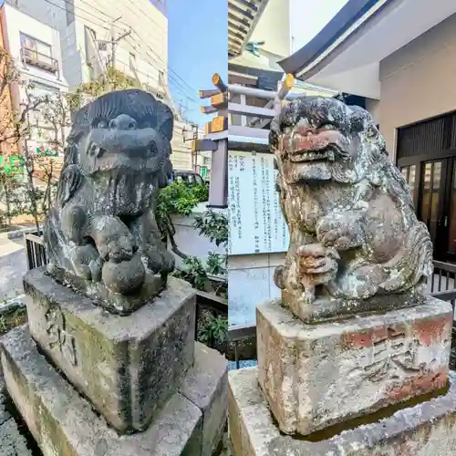 柏神社の狛犬