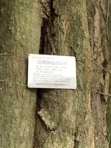 三明神社の自然