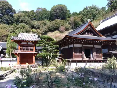 岡寺（龍蓋寺）(奈良県)