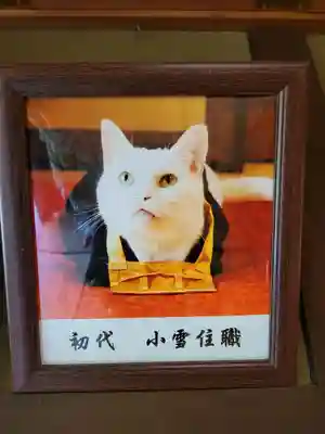 猫猫寺(京都府)