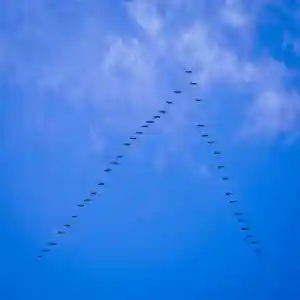 美幌神社の動物(2024年04月18日(木) 12時00分30秒投稿)