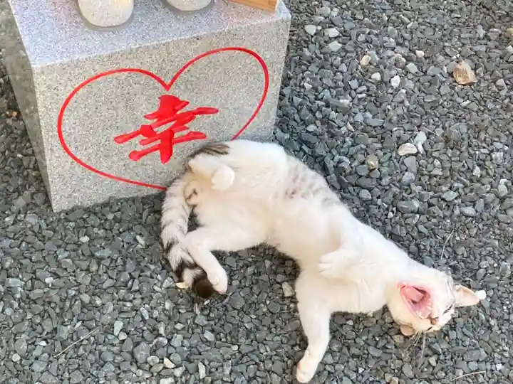 鹿角八坂神社の動物