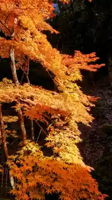 禅林寺(永観堂)(京都府)