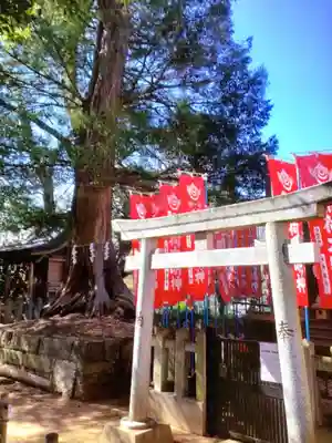 諏訪神社(東京都)