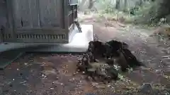 雷神社の自然