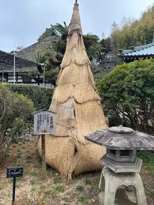 龍華寺(静岡県)