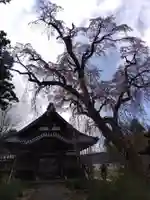 日朝寺(新潟県)