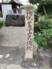 秋葉神社の建物その他