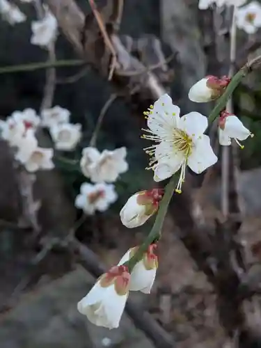 田端神社(東京都)