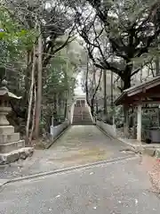 多度神社（夛度神社）の建物その他