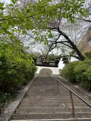 慈眼寺の{uncategorized: "未分類", other: "その他", undefined: "問題あり", building: "その他建物", grave: "お墓", sacred_gate: "鳥居", guardian: "狛犬", statue: "像", buddha: "仏像", history: "歴史", nature: "自然", garden: "庭園", animal: "動物", pagoda: "塔", temizu: "手水舎", mountain_gate: "山門・神門", sanctuary: "本殿・本堂", subordinate: "末社・摂社", art: "芸術", scenery: "景色", jizo: "地蔵", ema: "絵馬", goshuin: "御朱印", omikuji: "おみくじ", items: "授与品その他", amulet: "お守り", goshuincho: "御朱印帳", eats: "食事", festival: "お祭り", votive_dance: "神楽", shichigosan: "七五三参", wedding: "結婚式", experience: "体験その他", initially: "初詣", around: "周辺", anti_infection: "感染症対策"}