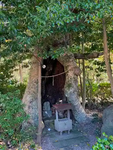 石見国一宮　物部神社(島根県)