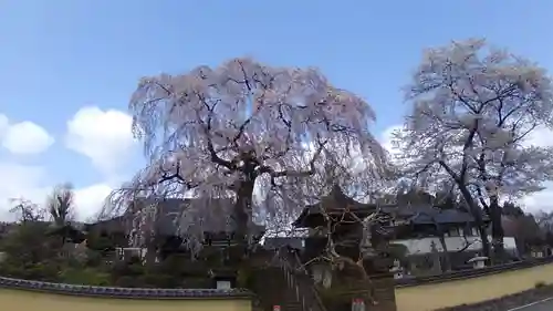 昌建寺の自然