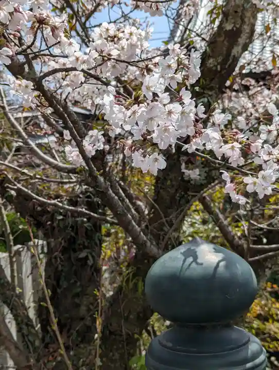くろ谷 金戒光明寺(京都府)