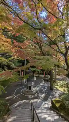 今熊野観音寺(京都府)