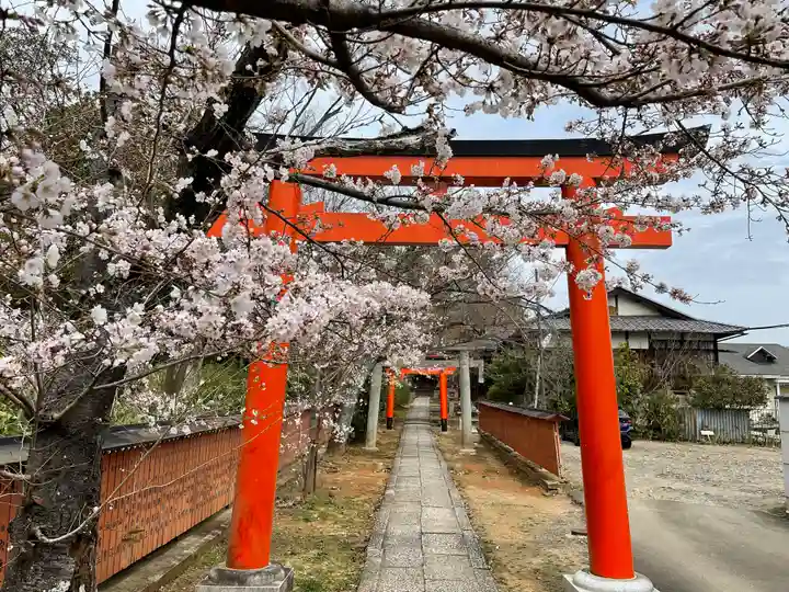 竹中稲荷神社(吉田神社末社)の鳥居