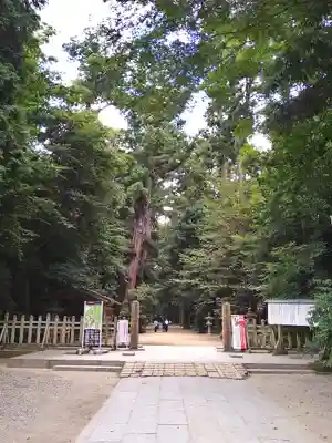 鹿島神宮(茨城県)